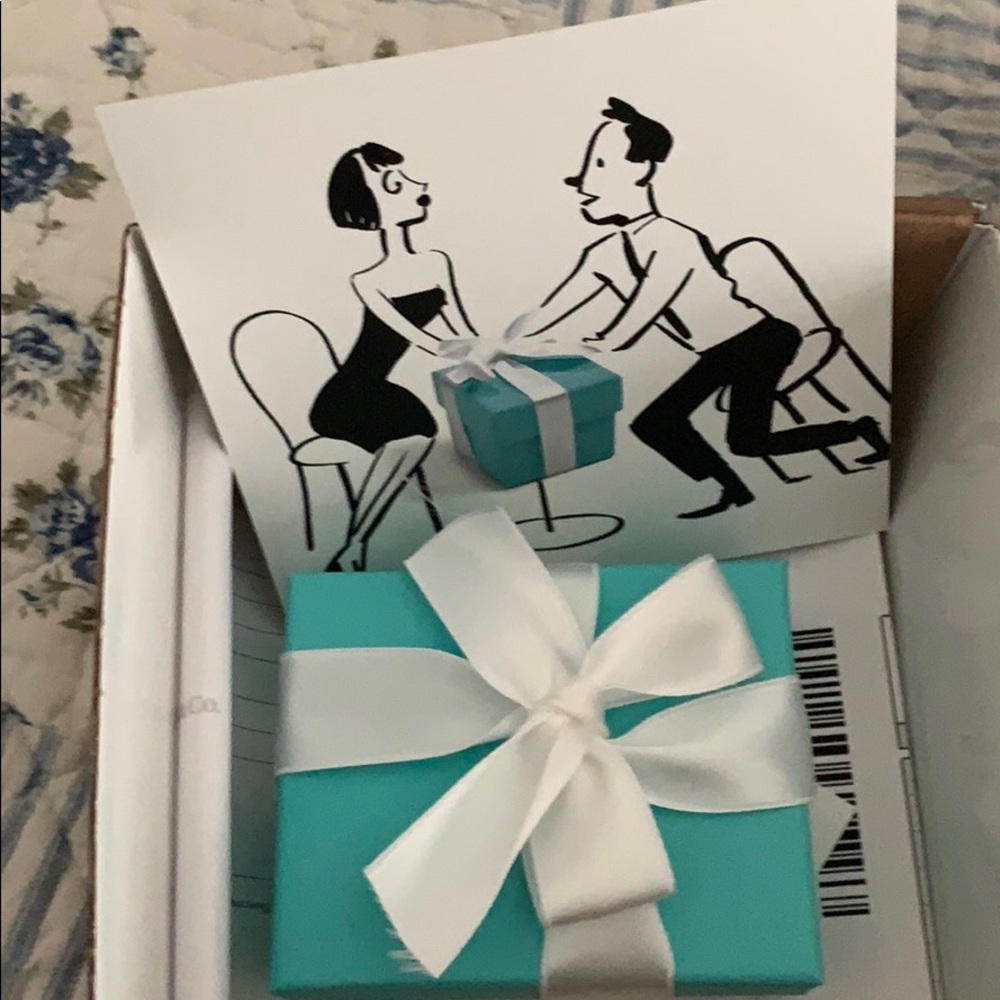TIFFANY & COMPANY NEW STERLING SILVER NECKLACE